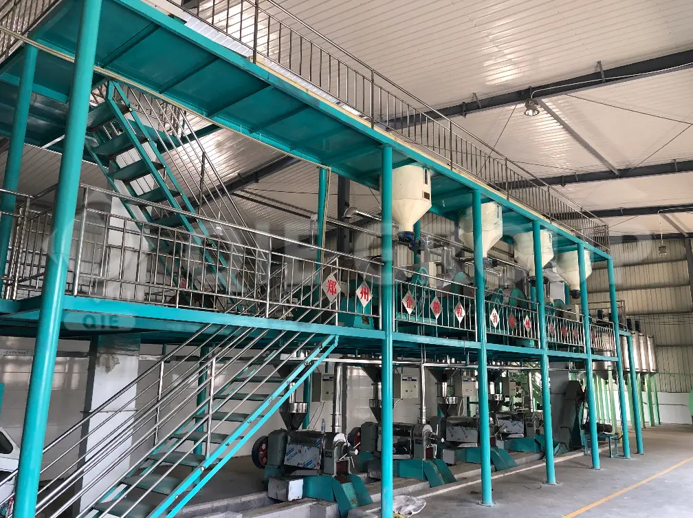 Línea de pretratamiento mecánico de aceite de canola que mejora la eficiencia antes del prensado.