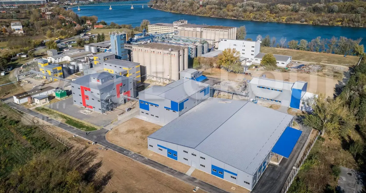 Línea de producción de aceite comestible que incluye equipos de pretratamiento, prensado y refinado.