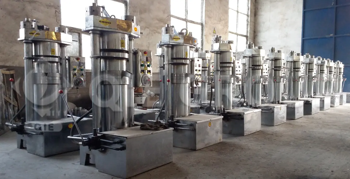 Prensa hidráulica de alta presión para sésamo, utilizada para el prensado en frío de semillas de sésamo y la producción de aceite de sésamo de primera calidad.