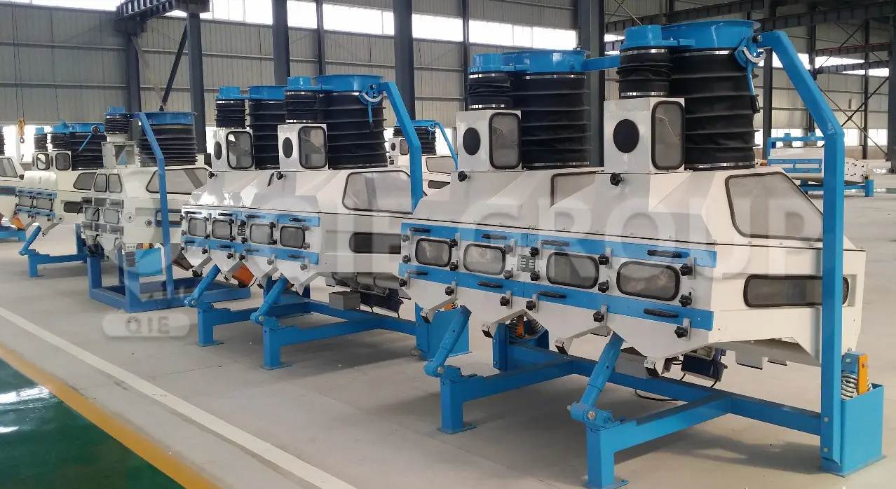 Máquina desempedradora de semillas oleaginosas para eliminar piedras e impurezas pesadas.