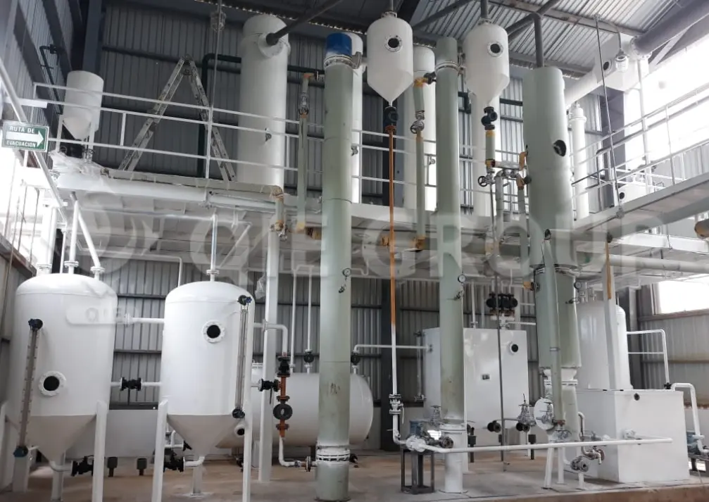 Taller de extracción con disolventes que integra la extracción de semillas oleaginosas, la recuperación del disolvente y la separación de la harina para obtener un mayor rendimiento y una mayor seguridad.