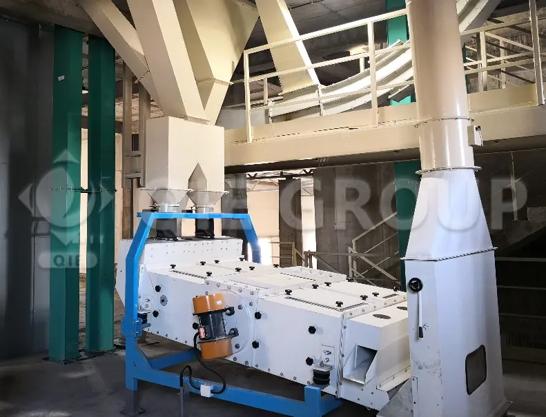 Tamiz de limpieza de germen de maíz para eliminar impurezas antes de la extracción de aceite.