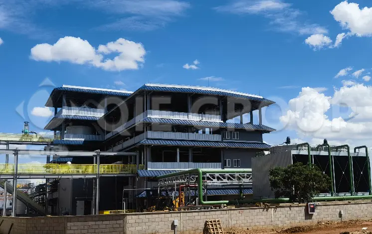 Proyecto completo de planta de procesamiento de aceite comestible con diseño de ingeniería llave en mano por QIE Group