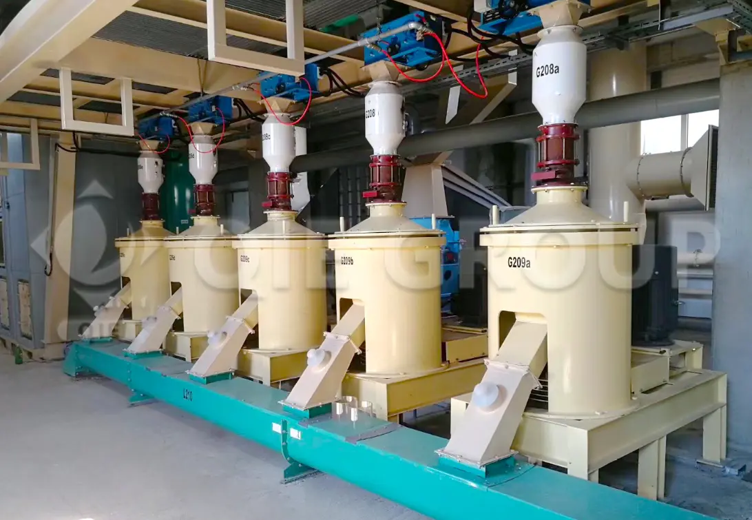 Equipo de preprocesamiento de semillas oleaginosas para limpieza, ablandamiento y preparación en la línea de procesamiento de aceite comestible de QIE GROUP