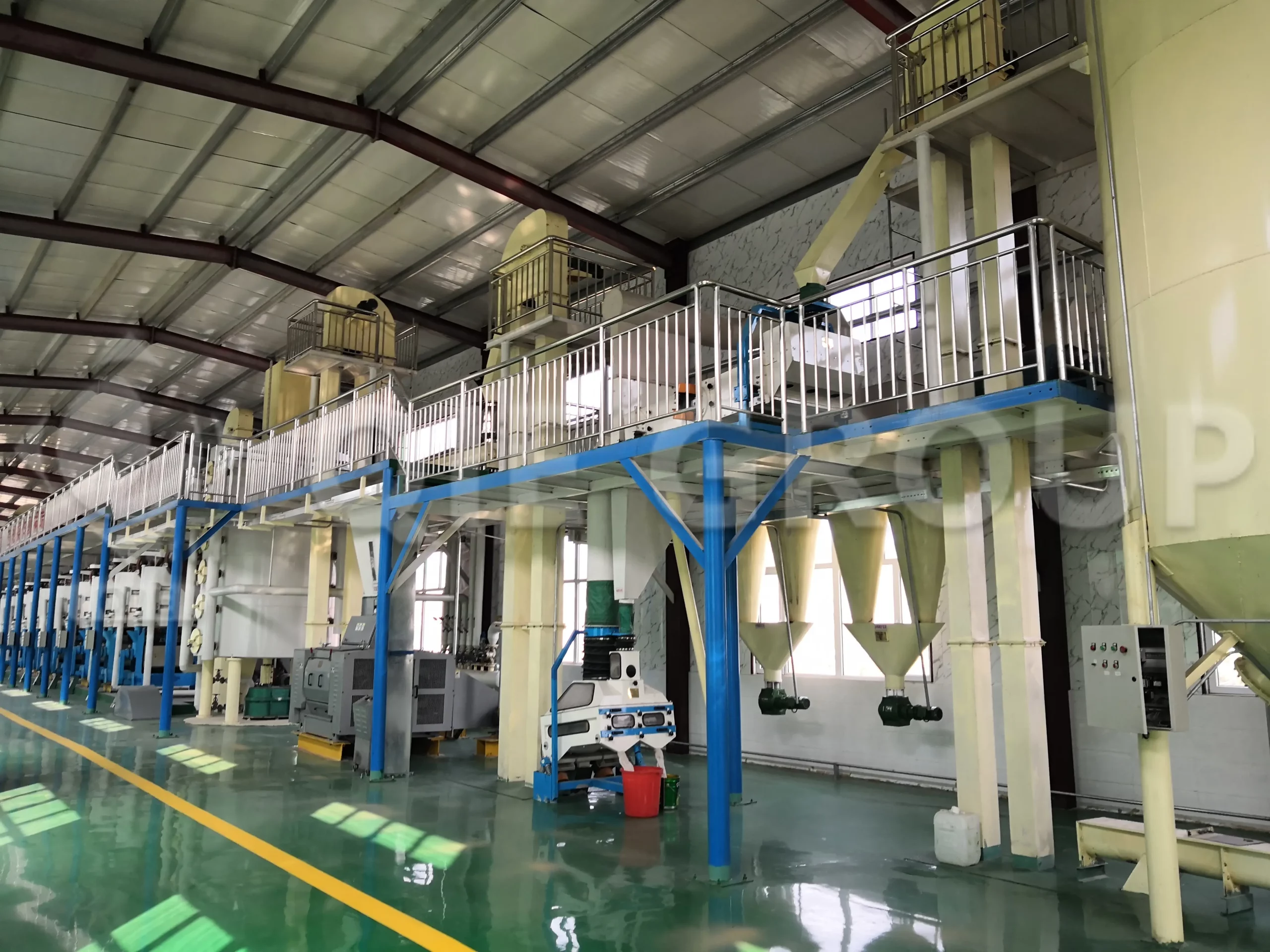 Taller de pretratamiento de manteca de karité con equipos de limpieza, trituración y acondicionamiento.