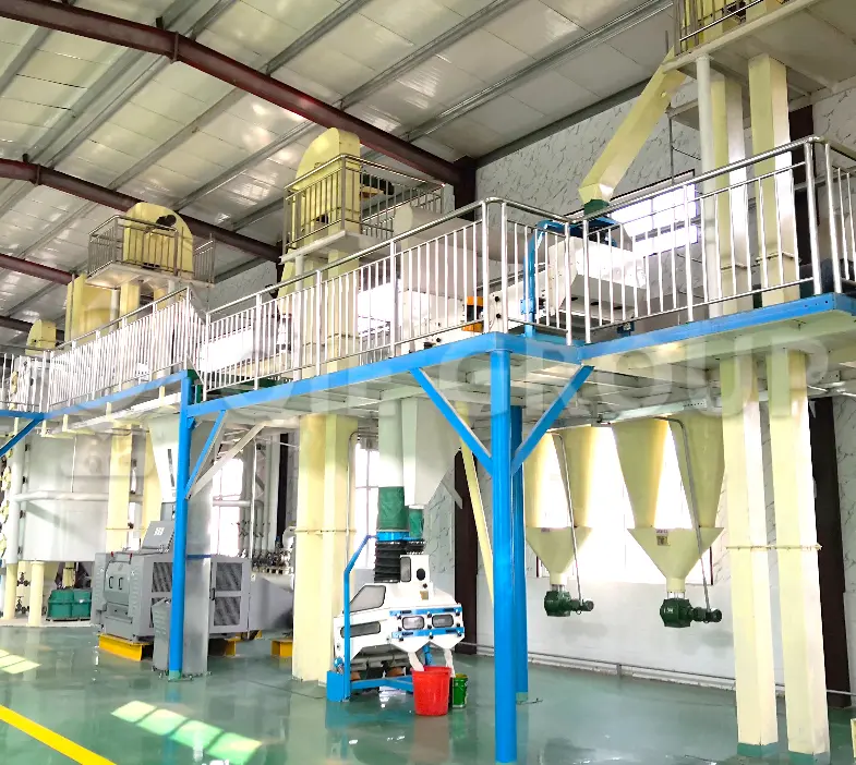 Taller sobre el pretratamiento de la nuez de karité, que incluye sistemas de limpieza, secado y acondicionamiento para el procesamiento de la manteca de karité.