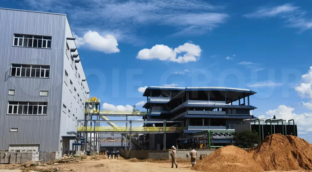 Taller de pretratamiento de semillas oleaginosas que incluye limpieza, trituración y laminado