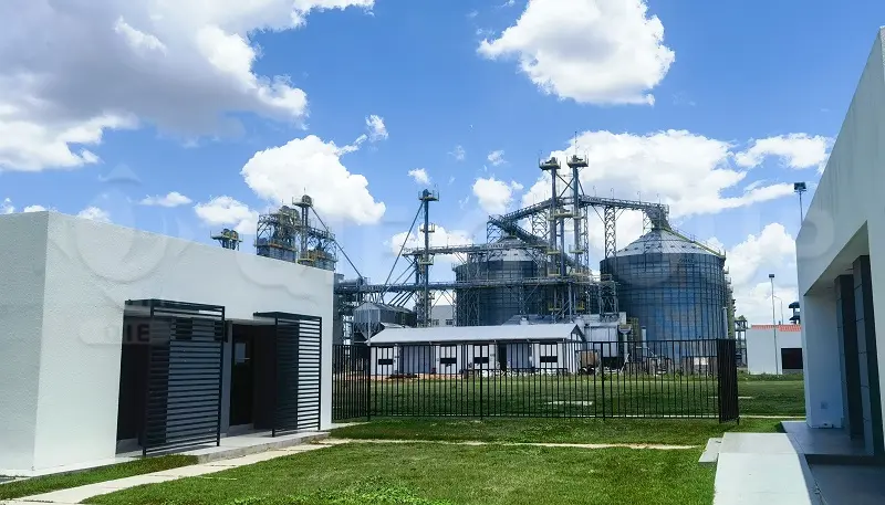 Proyecto EPC de planta de procesamiento de aceites comestibles con sistema integrado de trituración y refinado de semillas oleaginosas, a cargo de QIE GROUP.