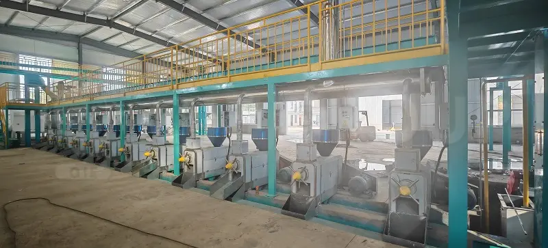 Máquina de prensado de aceite de cacahuete para una extracción eficiente en una almazara industrial