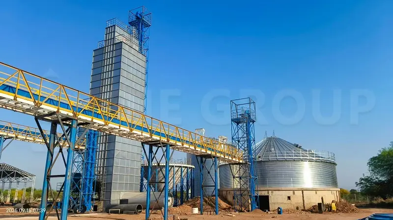 Sistema integral de planta de procesamiento de aceite de soja: Abarca todo el flujo de trabajo de producción, incluyendo el pretratamiento, el prensado, la extracción por disolventes y los procesos de refinado.
